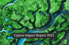 pwc-impact-report