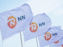 nn-flags