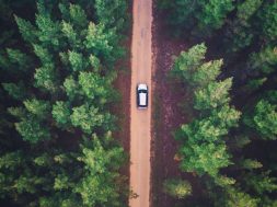 car-trees-forest