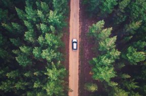 car-trees-forest