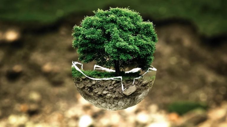 earth-tree