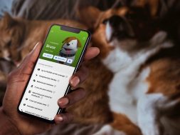 pet-insurance-revolut