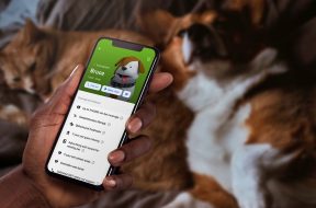 pet-insurance-revolut