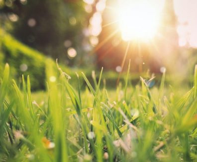 spring