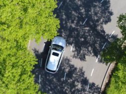 car-trees-road-anytime