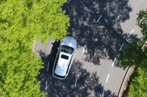 car-trees-road-anytime