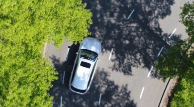 car-trees-road-anytime