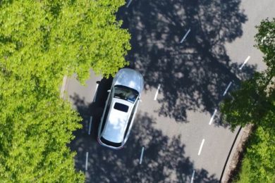 car-trees-road-anytime