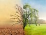 climate-change-2