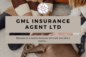 GML INSURANCE AGENT LTD