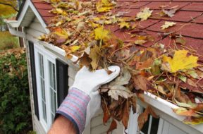 home-maintenance-fall