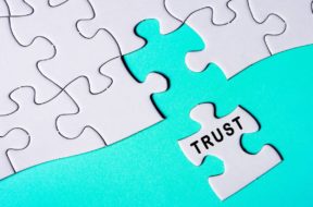 trust-puzzle