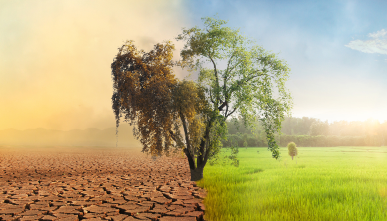 Climate Change