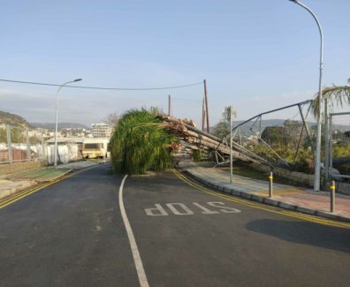 anemostrovilos