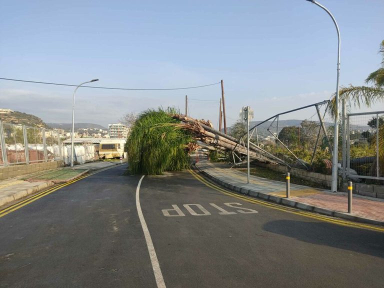 anemostrovilos