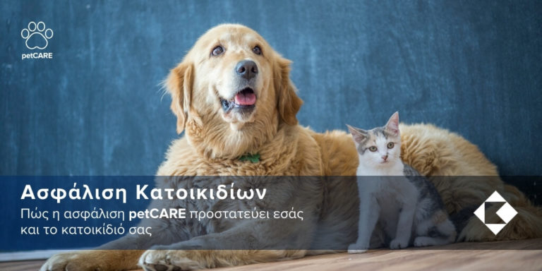 Cosmos Insurance Blog: Πώς η ασφάλιση petCARE προστατεύει εσάς και το κατοικίδιό σας