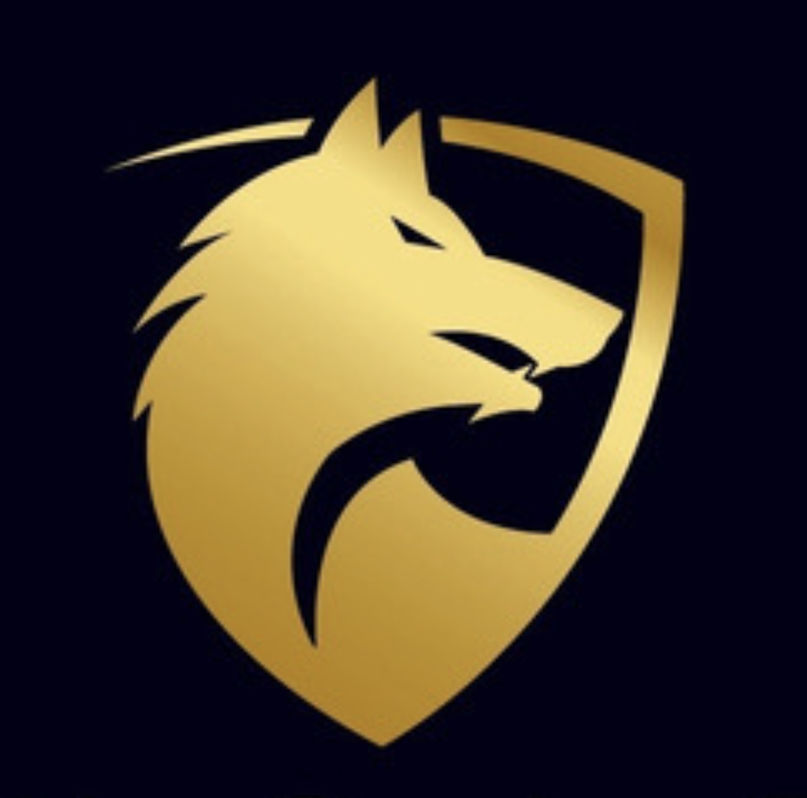 Wolf Security & Private Investigations