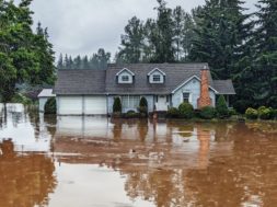 flood (1)