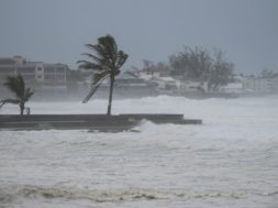 hurricane-beryl