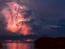 tropical-thunder