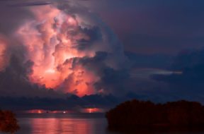 tropical-thunder