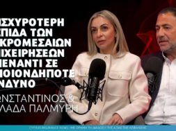 palmyri-article