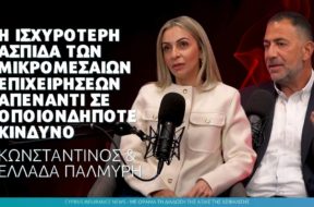 palmyri-article