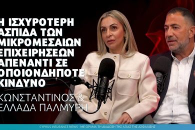 palmyri-article