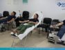aimodosia