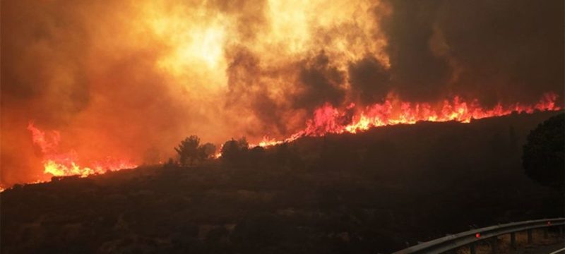 fire-limassol