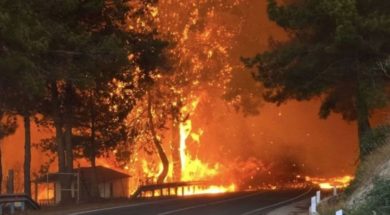 limassol-fires