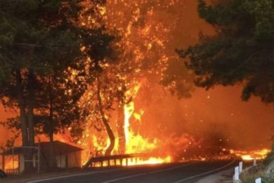 limassol-fires
