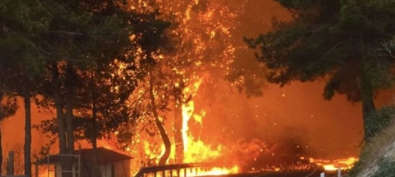 limassol-fires