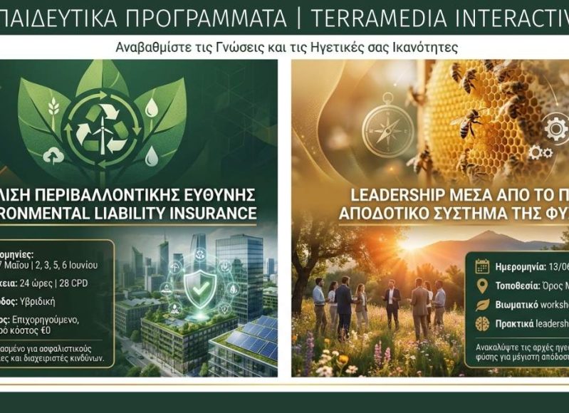 terramedia-2-seminars.jpg