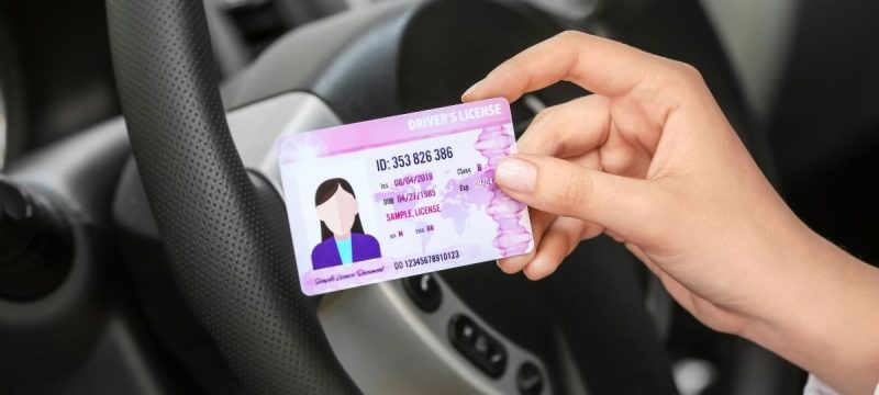 drivers license.jpg