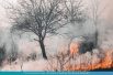 fire.jpg