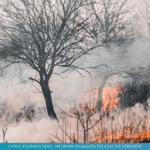 fire.jpg