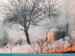 fire.jpg