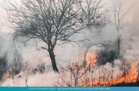 fire.jpg