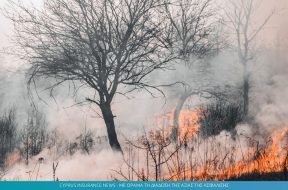 fire.jpg