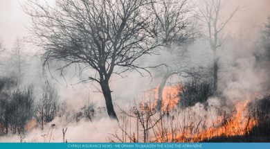 fire.jpg