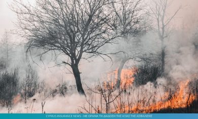 fire.jpg