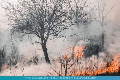 fire.jpg