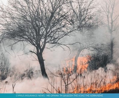 fire.jpg