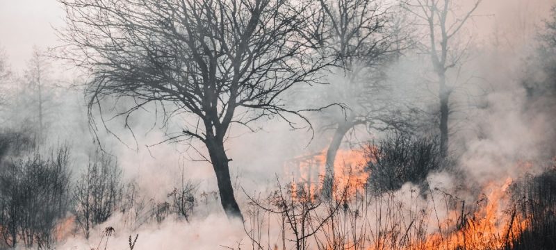 fire.jpg