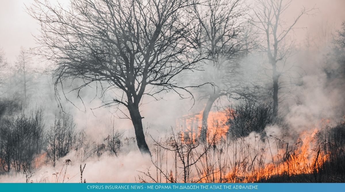Mega-fires: Οι καταστροφικές πυρκαγιές «καίνε» και την ευρωπαϊκή οικονομία – Ζημιές άνω των 3 δισ. ευρώ