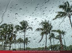 Featured Images Main (85)